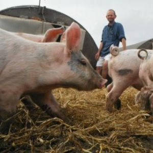 jurassic-coast-farm-shop-meet-west-end-pork-farmer