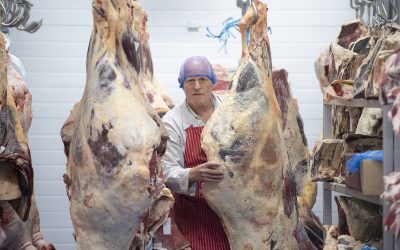 Dry Ageing process